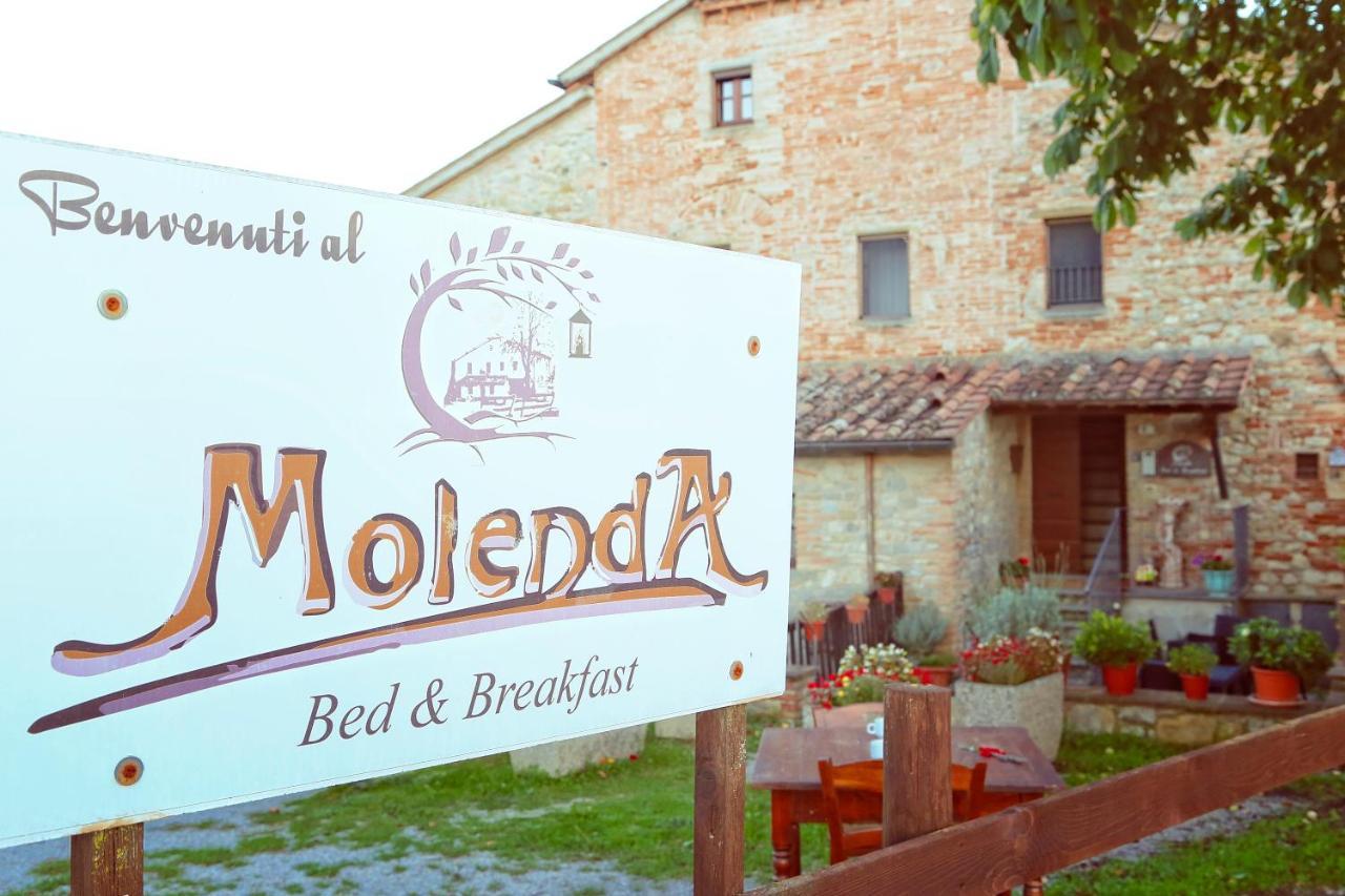 Molenda B&B チッタ・ディ・カステッロ エクステリア 写真